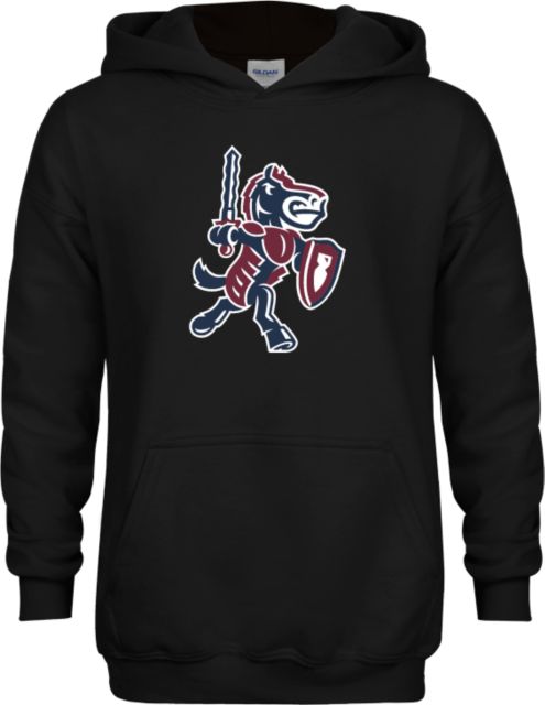 FDU Knights Youth Fleece Hoodie Fairleigh Knightro - ONLINE ONLY
