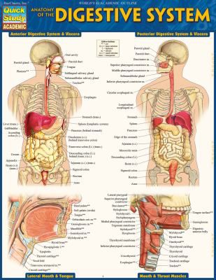 ANATOMY OF THE DIGESTIVE SYST