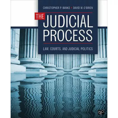 The Judicial Process